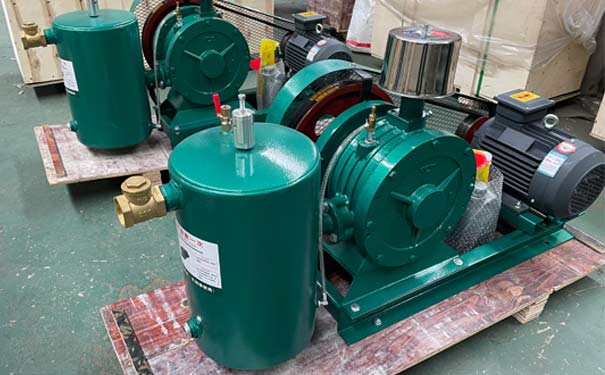 回轉(zhuǎn)式鼓風機工廠實拍